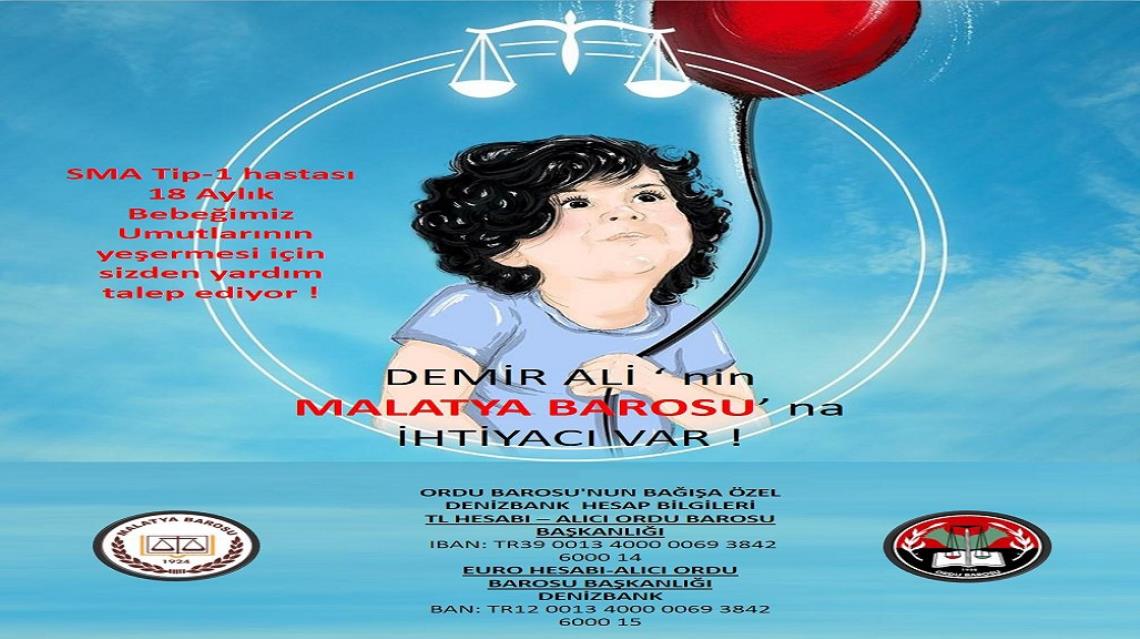 DEMİR ALİ'NİN SANA İHTİYACI VAR